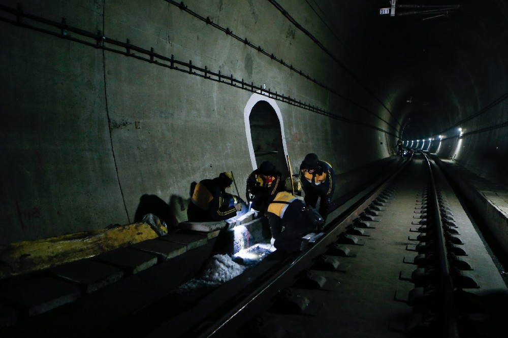 定南铁路运营隧道病害现状